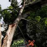 storm cleanup in naples fl